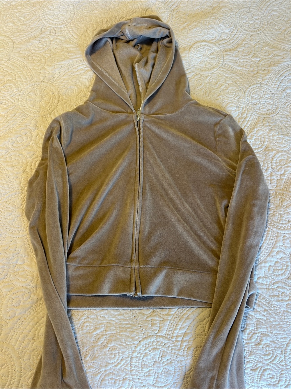 PacSun Taupe Velour Zip Hoodie